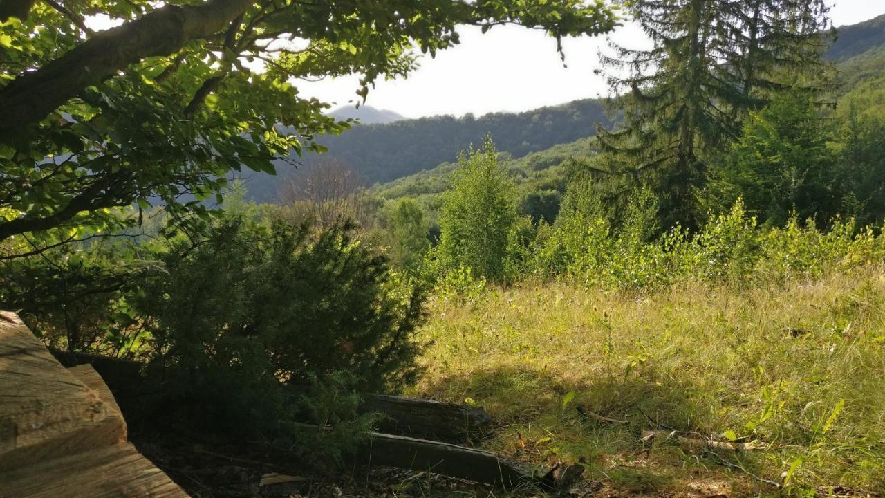 Садиба Федорчуків За Рікою 셰쇼리 외부 사진